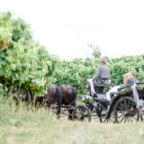 Hochzeitsfotos Weinberge Kutsche Kutschfahrt Rheingau