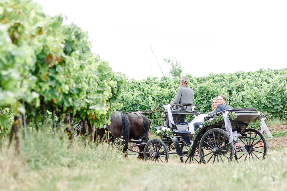 Hochzeitsfotos Weinberge Kutsche Kutschfahrt Rheingau