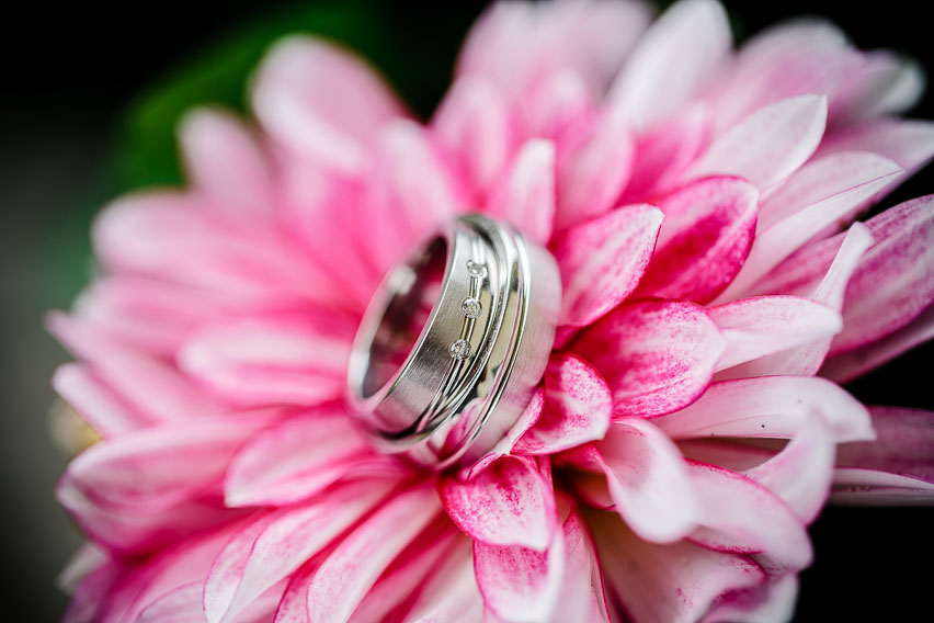 Blume Ehering Bilder