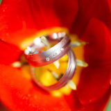 Blumen Eheringe Billianten