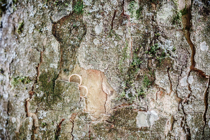Eheringe Baum Details