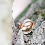Hochzeit Baum Ringe Rinde