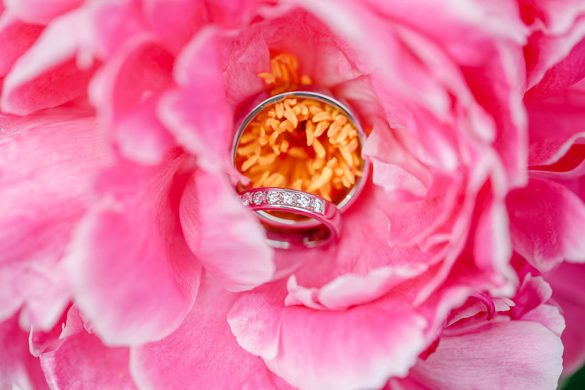 Hochzeitsfotos Eheringe rosa Blume